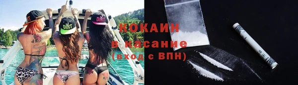 шишки Алексеевка