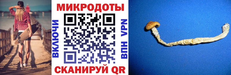 Галлюциногенные грибы мухоморы  купить наркоту  mega как войти  Кирсанов 