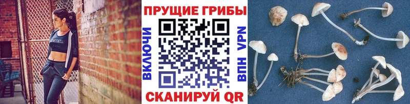 Псилоцибиновые грибы GOLDEN TEACHER Кирсанов