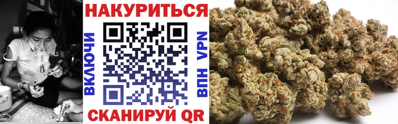 наркота  Кирсанов  Канабис Ganja 